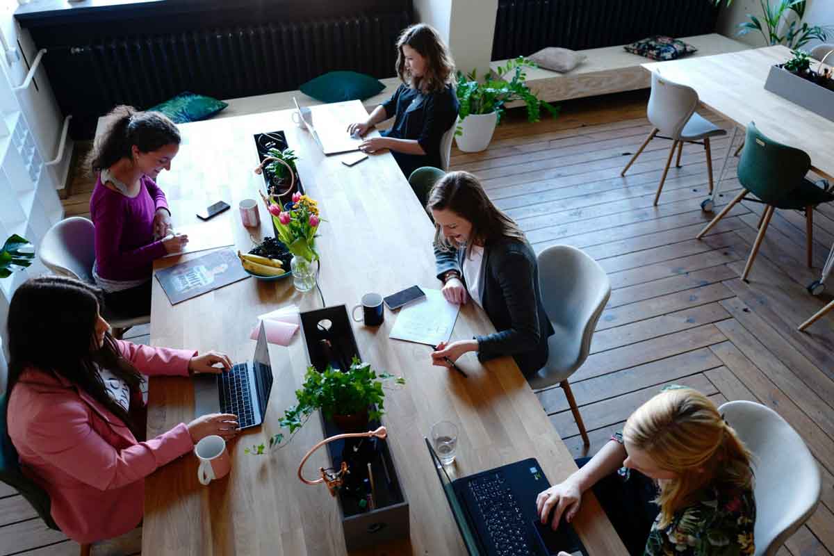 CSR (Corporate Social Responsibility)